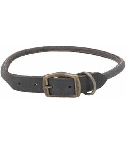Coastal Pet Products 2208 Leather Latigo Round Dog Collar, 1 by 24